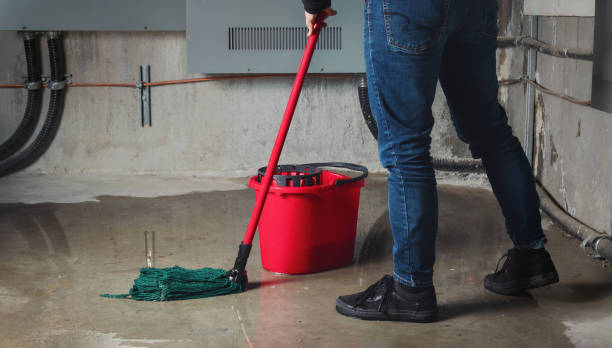 Best 24-hour water damage restoration  in Hlcrest, IL